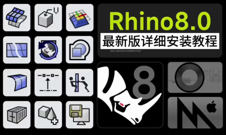 如何用拼音正确发音rhinoceros beetle?